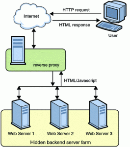 Reverse_Proxy_setup